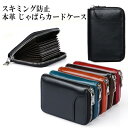 カードケース じゃばら 本革 スキミング防止 薄型 スリム レディース メンズ コンパクト レザー ファスナー 大容量 薄い 革 牛革 磁気防止 海外旅行 ラウ...