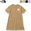 [SUMMER SALE 30%OFF] THE NORTH FACE Ρե å 륺硼ȥ꡼֥ԡƥ Ⱦµ G S/S Onepiece TeeNTG32360Ź