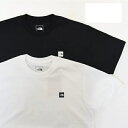 メンズ THE NORTH FACE ザ・ノース・フェイス S/S Small Box Logo Tee ショートスリーブスモールボックスロゴティー NT32445