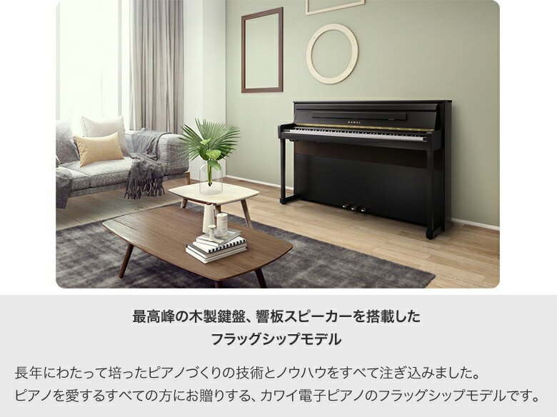 Concert Artist CA901NW ナチュラルウォルナット調