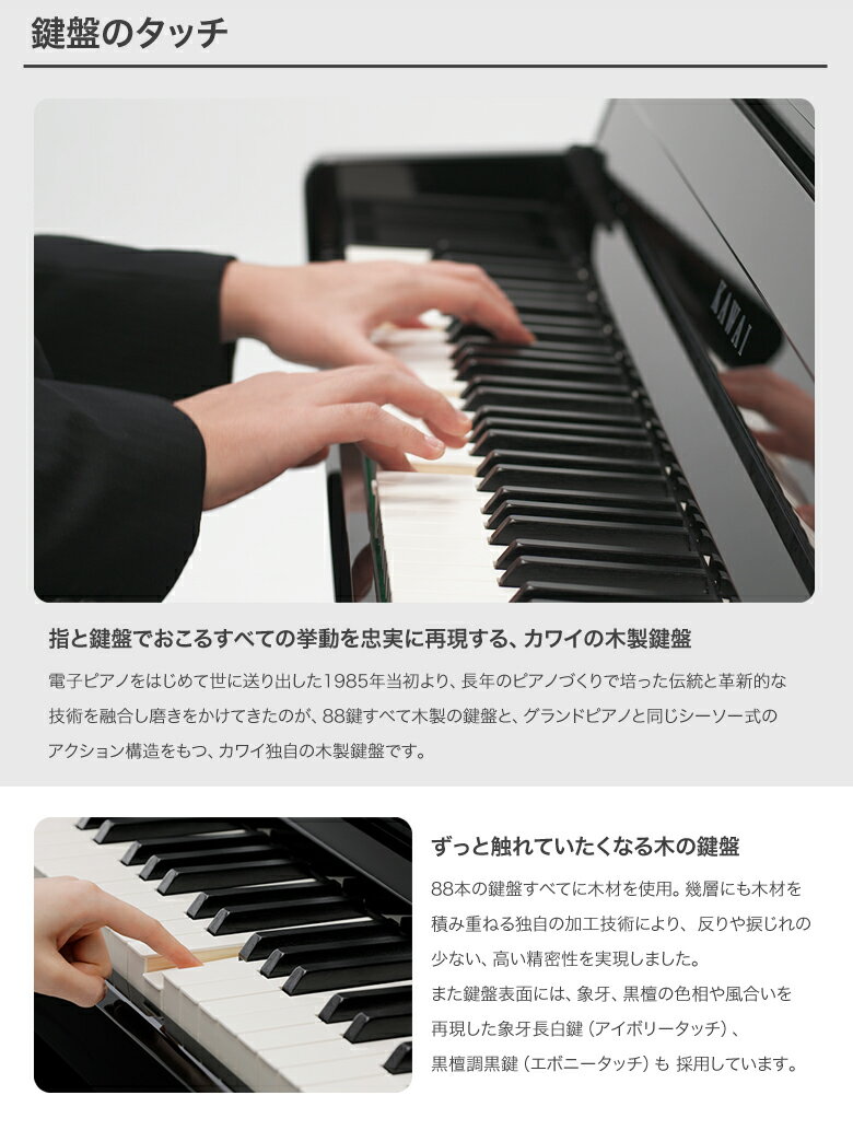 Concert Artist CA901NW ナチュラルウォルナット調