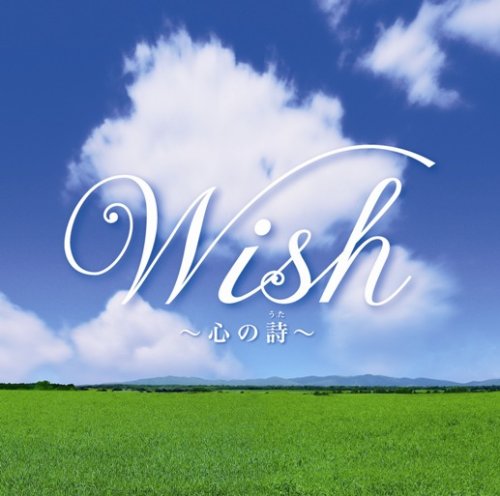 CDĺΤ߸ʽʬòUCCS-3028 ˥ХWishλڿ̤ۢջ򤴳ǧξ头ʸ