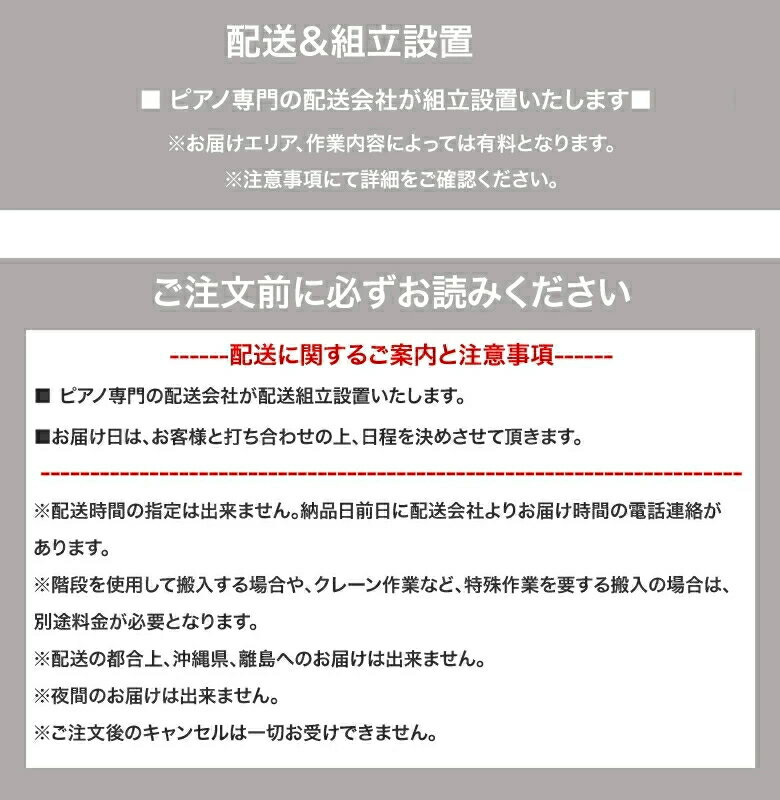 【中古】【九州北部地方限定販売】　ヤマハ ELS-02C カスタムモデル 中古エレクト...