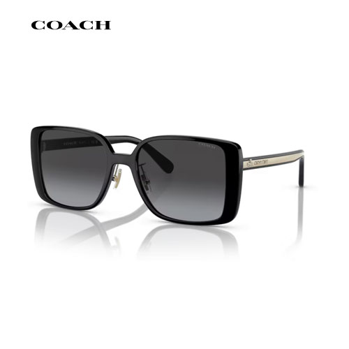 【正規販売認定店】COACH（コーチ）　HC8375 50028G　ブラック　サングラス