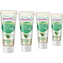 【4個セット】エブリッシュ アロエスクラブ洗顔