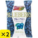 【2個セット】ノースイ 冷凍 ブルーベリー 500g