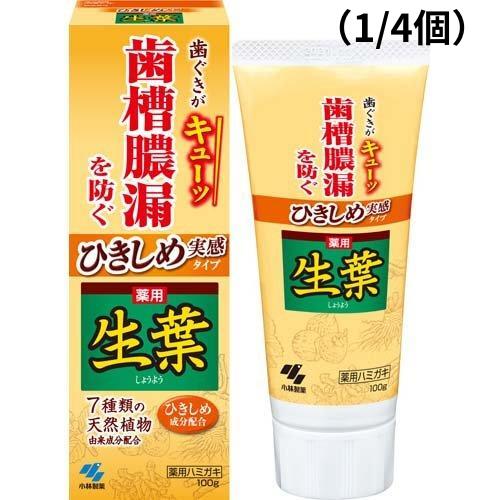 （1/4個セット）【医薬部外品】ひきしめ生葉 100g(薬用ハミガキ）小林製薬　歯槽膿漏　はみがき　口臭