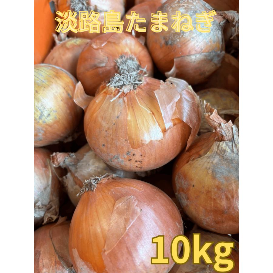 淡路島 玉ねぎ L 10kg