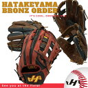 2025年 野球 ハタケヤマ HATAKEYAMA オーダーグラブ 硬式グラブ ブロンズオーダー KB カラーアレンジオーダー 型付け無料 送料無料 ボーイズリ...