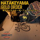 2025年 野球 ハタケヤマ HATAKEYAMA オーダーファーストミット 硬式 ファーストミット ゴールドオーダー KG スペシャルプロオーダー 型付け無料...