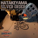 2025年 野球 ハタケヤマ HATAKEYAMA オーダー 軟式グローブ 軟式グラブ シルバーオーダー NS スペシャルプロオーダー 型付け無料 送料無料 一...