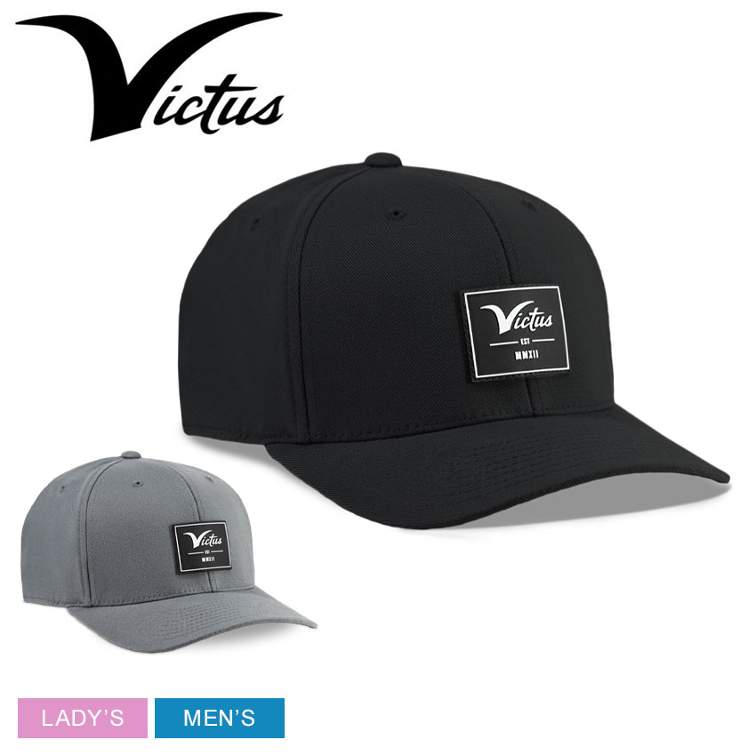 ヴィクタス 帽子 メンズ レディース VICTUS ESTABLISHED HAT ベースボールキャップ BBキャップ 野球帽 ストリート アジャスター ユニセックス 無地 ブラック 黒 グレー VAHTEST