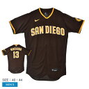 \今だけ★ポイント5倍/ナイキ ユニフォームシャツ メンズ ブラウン 茶 イエロー NIKE OFFICIAL AUTHENTICJERSEY 8900-PY3...