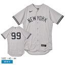 \今だけ★ポイント5倍/ナイキ Official Authentic Jersey ユニフォームシャツ メンズ グレー NIKE 8900-NK2R アーロン・...