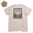 【 AMERICAN BACKCOUNTRY　AB VINTAGE /　YOSEMITE NP ICEGRAY 】 アパレル メンズTシャツ ウィメンズTシャツ Tシャツ ウェアー クライミングギア クライミング用品 登山 登山用品 送料無料