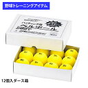 ユニックス 野球用 バッティング練習用 タイミングベルボール 12個入1ダース 室内練習 BX8176 trai2020 unix20ss