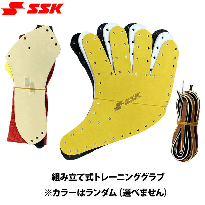 楽天市場】ssk トレーニング グラブの通販