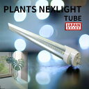 楽天base plantz選べるカラータイプ PlantsNEXLIGHT ネクスライト プランツネクスライト 植物専用LED 育成 多肉植物 塊根植物に 温室 園芸用 植物用ライト 植物用LED 日照不足解消ランプ