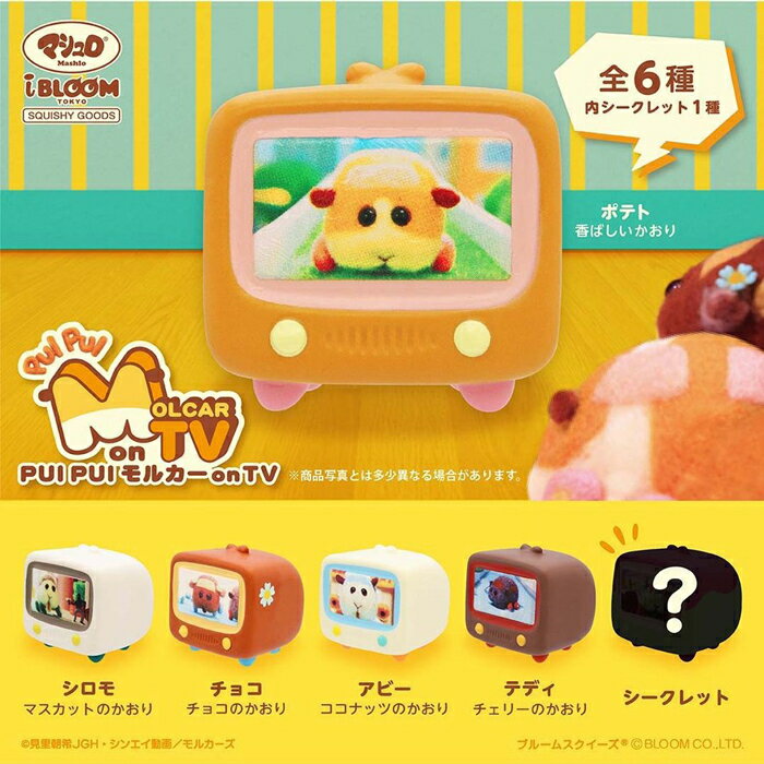 ブルーム スクイーズ PUI PUI モルカー on TV 1個