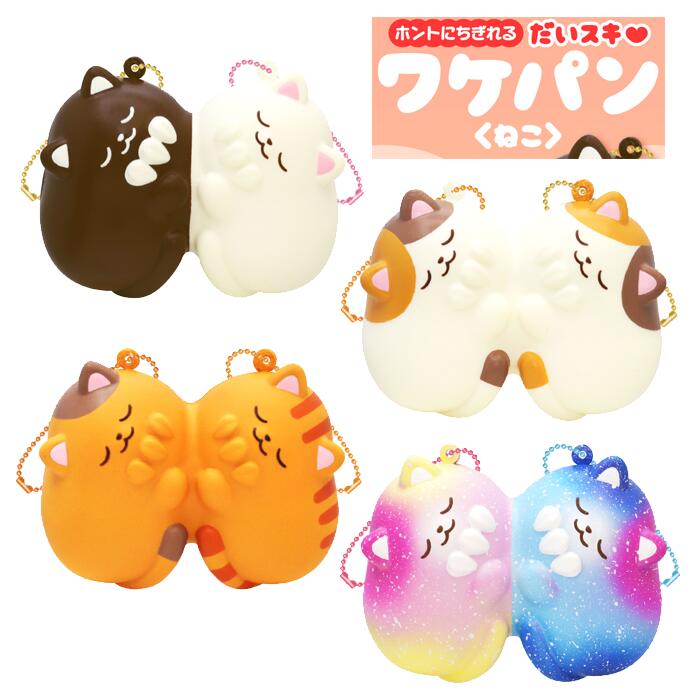 製品画像：25位