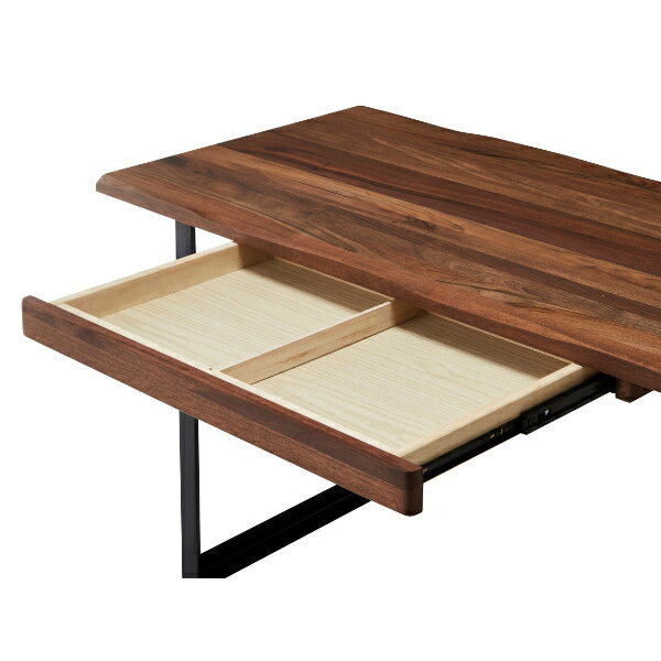 ワークデスク 学習机 ウォールナット 無垢材 スチール 異素材MIX PCデスク 引出し すっきり おしゃれ 北欧 ナチュラル インダストリアル 在宅ワーク リモート 120DESK DWELLER DK-SB-71 (WALNUT) [3]