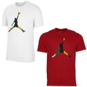 ジョーダン DNA スポーツジャンプマンTシャツ ユニセックス 22SS01 JORDAN NIKE バスケットボール バスケウェア 返品・交換不可商品※返品・...