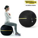 テクノジム アクティブシッティング バランスボールチェア 55cm WELLNESS BALL Technogym メーカー直送品 トレーニング フィットネス テレワーク(4)