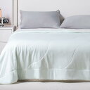 KASENTEX リバーシブル冷感コンフォーターセット ツインサイズ 60x90 夏用コンフォーター 冷感枕カバー付き 通気性シルキーブランケット 暑がりの方や寝汗対策に ベビーグリーン