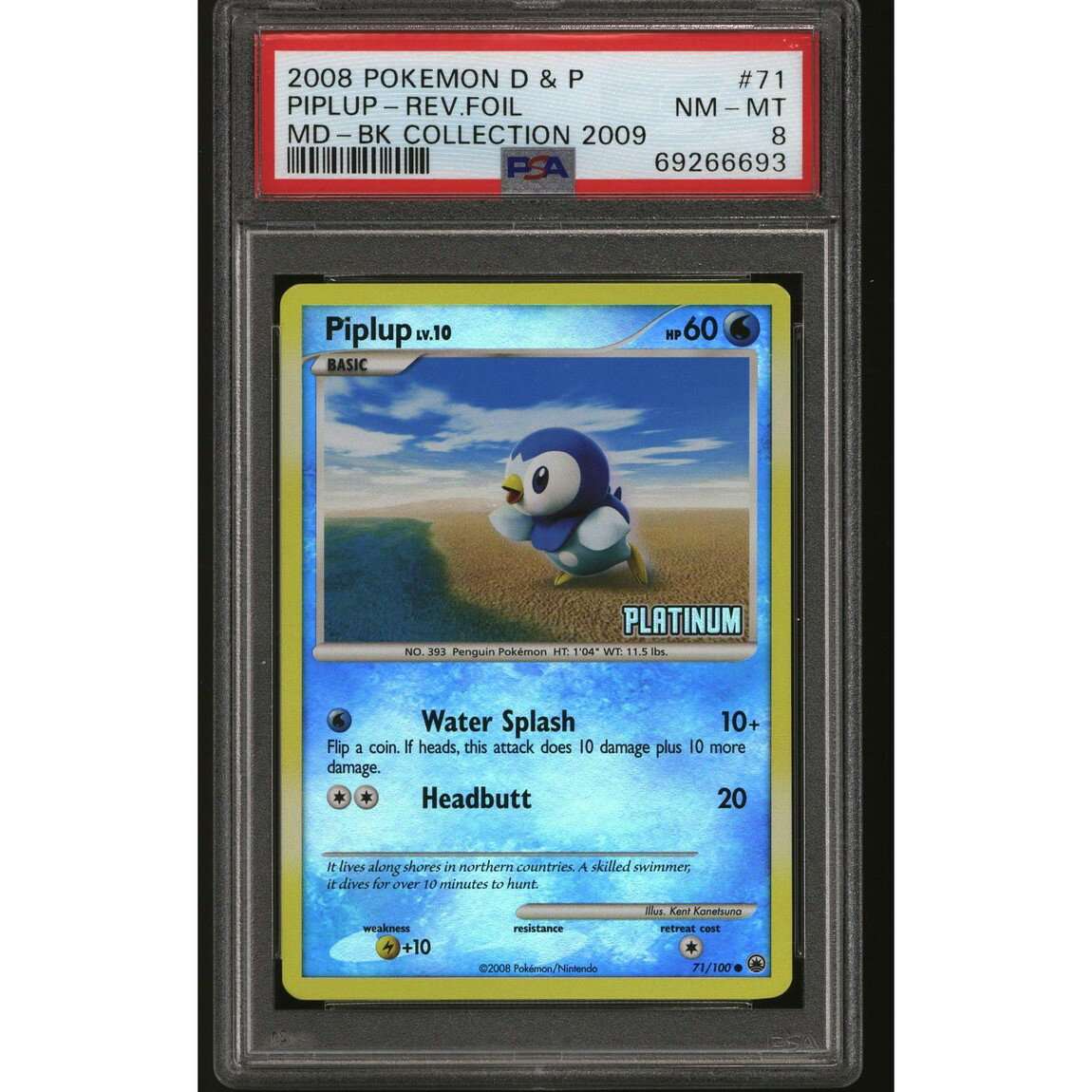 ポケモン英語版 Burger King Platinum Promo ポッチャマ Reverse Holo Foil 71/100 PSA 8 鑑定済