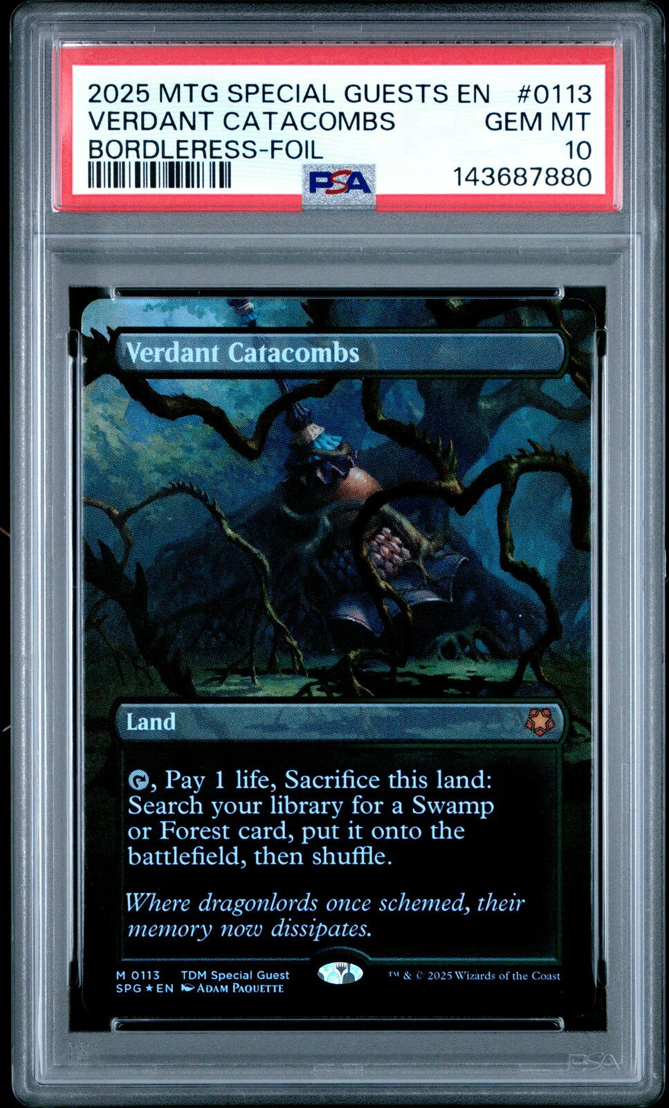 MTG英語版 2025 Tarkir: Dragonstorm Special Guests Verdant Catacombs #0113 PSA 10 鑑定済