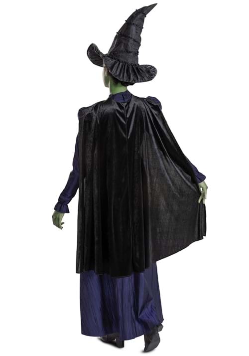 Basqueバスクのレディース Wicked デラックス エルファバ コスチュームイベント ハロウィン コスプレ 大人女性｜アングル2