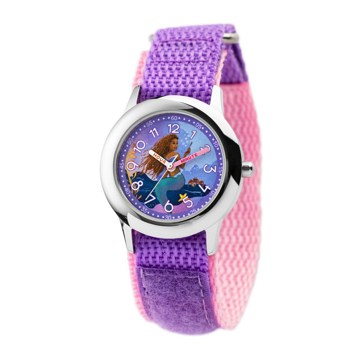 Disney ȥޡᥤ ¼ å ƥ㡼 ʥ  ӻ