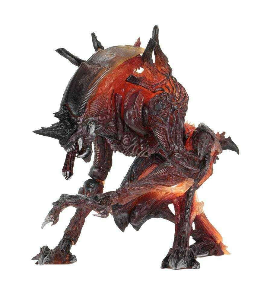 neca2609046.jpg