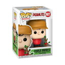Funko Pop ピーナッツ チャーリーブラウンクリスマス ツリー付きチャーリーブラウン コレクタブルフィギュア 公式グッズ