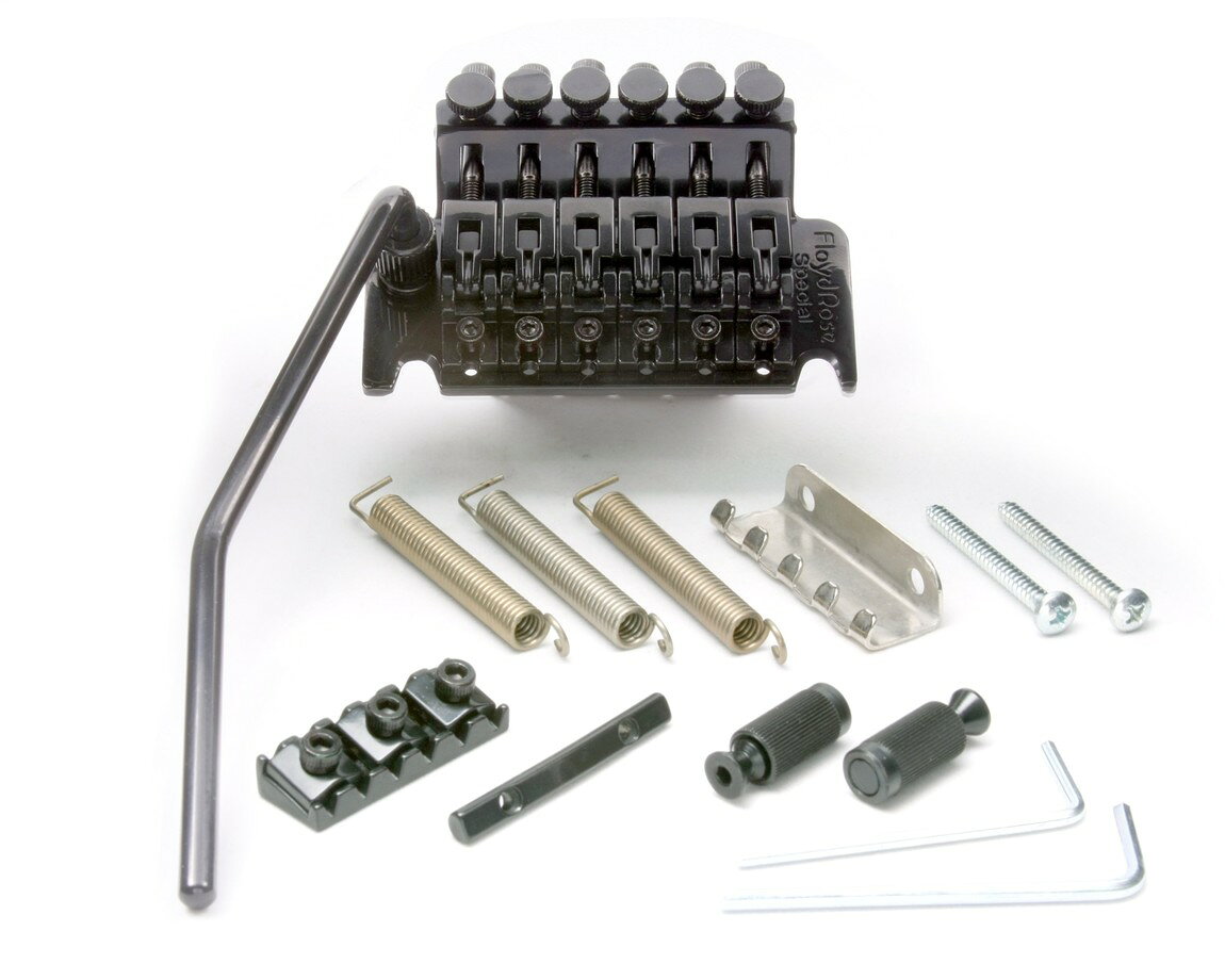 PRODUCT DETAILS Floyd Rose Special Series ギター用 トレモロ ブリッジ R2Bナット ブラック【商品仕様】・ ブランド：Floyd Rose・ 型番：Special Series・ 品目：ギター用トレモロブリッジ・ 仕様：ダブルロッキング、R2Bナット付属・ 材質（プレート/ネジ/インサート）：スチール・ 材質（サドル/サスティーンブロック）：亜鉛合金（ジンク）・ 製造国：韓国・ カラー：ブラック【特徴】・ Original Floyd Roseの設計パラメータと構造を維持した、Floyd Rose公式のライセンスモデルです。・ スチール製のプレートに加え、サドルとサスティーンブロックに亜鉛合金を採用しています。・ ナイフエッジデザインにより、アーミング時の摩擦を最小限に抑え、スムーズな動作を実現します。【ご注意】・ 取り付けには加工・配線作業が必要な場合があります。お手持ちの楽器との適合（弦数・サイズ・取付穴位置）をご確認のうえご注文ください。・ アクティブタイプのピックアップは9V電池が必要です（電池は付属しない場合があります）。 ■ 商品について 海外輸入品（説明書は英語表記の場合あり） ■ ご注意 ・掲載画像は実物に近い色味になるよう調整しておりますが、ご利用の環境により差異が生じる場合があります。・複数店舗で在庫を共有しているため、ご注文後に在庫切れとなる場合がございます。 ■ 納期について お届けの目安を必ずご確認ください。 海外正規ルート仕入れ品 海外ブランド ▼ 海外正規ブランド店 正規代理店 ▼ 当 店 ※本商品は並行輸入品です 製造元は正規品と同一のブランド・メーカーです。当店では海外正規ルートより仕入れた商品を取り扱っております。流通ルートが異なるのみで、商品自体に違いはございません。 ── 当店の商品について ── 正規品のみ取り扱い 海外正規店・正規代理店から商品を直接仕入れ、国内に輸入して販売しております。 日本未入荷・海外限定モデルも多数 日本未入荷・海外限定モデルも多数取り扱っております。サイズ・カラー違いや海外限定で販売された製品など、日本では手に入りにくいアイテムをお届けいたします。 お求めやすい価格の理由 海外市場での価格差や流通ルートの違いにより、国内販売価格よりお求めやすくなっております。品質はそのままに、よりお手頃な価格でお届けいたします。 安心保証 ご使用前に万が一、製品に不具合がございました場合は、交換または商品代金のご返金にて対応させていただきます。商品到着後5日以内にご連絡ください。 ご注意 海外からの輸入品となります。海外輸送のため、外箱に軽微なスレ等がある場合がございますが、商品本体には影響ございません。 ※在庫状況は仕入先の在庫情報をもとに出来る限り正確に表示しておりますが、取寄せ商品のため、タイミングによりご注文後に欠品・キャンセルとなる場合がございます。 お探しの商品がございましたら、お気軽にご相談ください。
