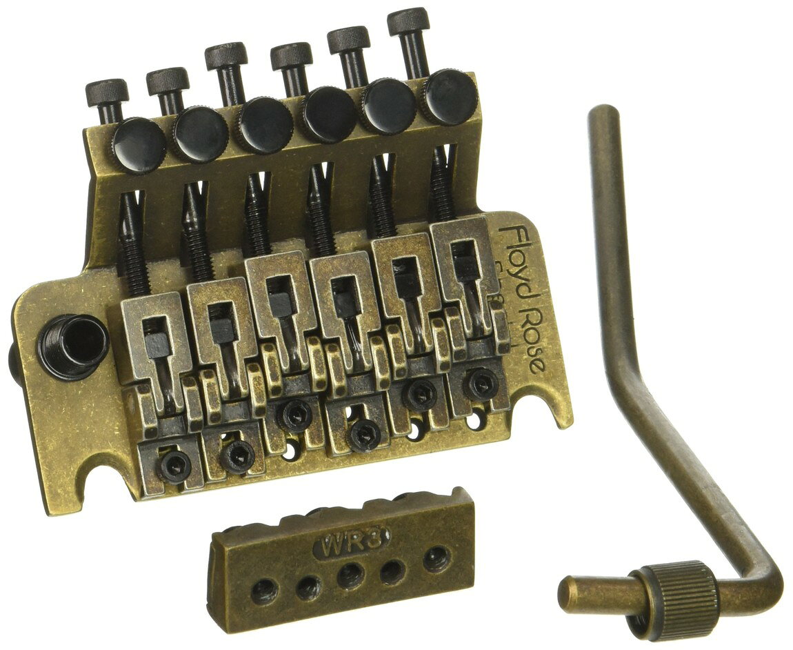 PRODUCT DETAILS Floyd Rose FRTS7100R3 ギター用 トレモロ ブリッジ R3ロックナット付属 グリーンブロンズ【商品仕様】・ ブランド：Floyd Rose・ 型番：FRTS7100R3・ 品目：トレモロブリッジ・ ナットサイズ：R3・ サドル材質：亜鉛合金・ サスティンブロック材質：亜鉛合金・ カラー：グリーンブロンズ・ 付属品：トレモロ本体、ロックナット、スプリング、ハンガー、マウントスタッド、取付用ハードウェア一式【特徴】・ Original Floyd Roseのデザインと機能を継承したFloyd Rose公式のライセンスモデルです。・ サドルおよびサスティンブロックに亜鉛合金を採用し、コストパフォーマンスを高めています。・ ロックナット、スプリング、マウントスタッドなど、取り付けに必要なパーツがセットになったトレモロキットです。【ご注意】・ 取り付けには加工・配線作業が必要な場合があります。お手持ちの楽器との適合（弦数・サイズ・取付穴位置）をご確認のうえご注文ください。・ アクティブタイプのピックアップは9V電池が必要です（電池は付属しない場合があります）。 ■ 商品について 海外輸入品（説明書は英語表記の場合あり） ■ ご注意 ・掲載画像は実物に近い色味になるよう調整しておりますが、ご利用の環境により差異が生じる場合があります。・複数店舗で在庫を共有しているため、ご注文後に在庫切れとなる場合がございます。 ■ 納期について お届けの目安を必ずご確認ください。 海外正規ルート仕入れ品 海外ブランド ▼ 海外正規ブランド店 正規代理店 ▼ 当 店 ※本商品は並行輸入品です 製造元は正規品と同一のブランド・メーカーです。当店では海外正規ルートより仕入れた商品を取り扱っております。流通ルートが異なるのみで、商品自体に違いはございません。 ── 当店の商品について ── 正規品のみ取り扱い 海外正規店・正規代理店から商品を直接仕入れ、国内に輸入して販売しております。 日本未入荷・海外限定モデルも多数 日本未入荷・海外限定モデルも多数取り扱っております。サイズ・カラー違いや海外限定で販売された製品など、日本では手に入りにくいアイテムをお届けいたします。 お求めやすい価格の理由 海外市場での価格差や流通ルートの違いにより、国内販売価格よりお求めやすくなっております。品質はそのままに、よりお手頃な価格でお届けいたします。 安心保証 ご使用前に万が一、製品に不具合がございました場合は、交換または商品代金のご返金にて対応させていただきます。商品到着後5日以内にご連絡ください。 ご注意 海外からの輸入品となります。海外輸送のため、外箱に軽微なスレ等がある場合がございますが、商品本体には影響ございません。 ※在庫状況は仕入先の在庫情報をもとに出来る限り正確に表示しておりますが、取寄せ商品のため、タイミングによりご注文後に欠品・キャンセルとなる場合がございます。 お探しの商品がございましたら、お気軽にご相談ください。