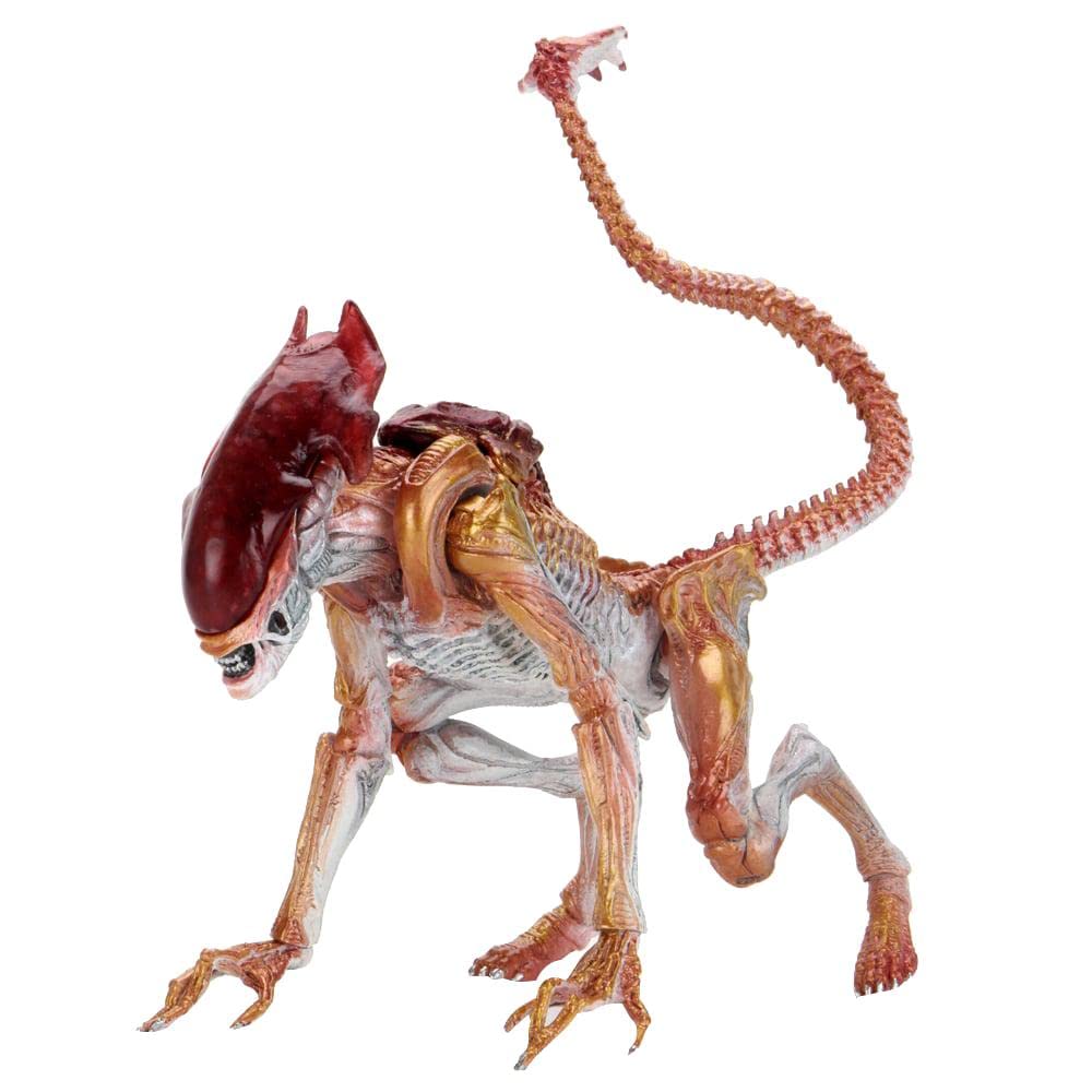 neca254-28.jpg neca254-28.jpg