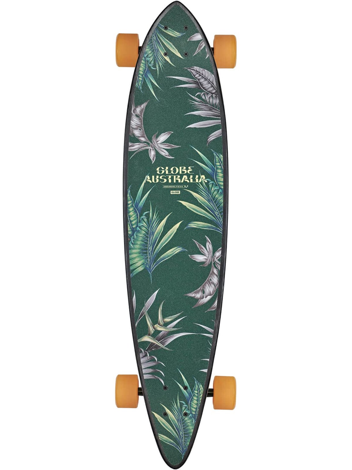 Globe Pintail 37