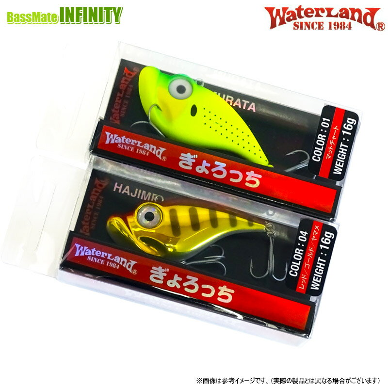 ウォーターランド　ぎょろっち 16g （1） 【メール便配送可】 【まとめ送料割】
