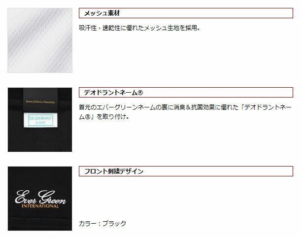 �����С����꡼��EG�ɥ饤�ݥ������ A������(���С����꡼��) �֥�å� �ڤޤȤ��������