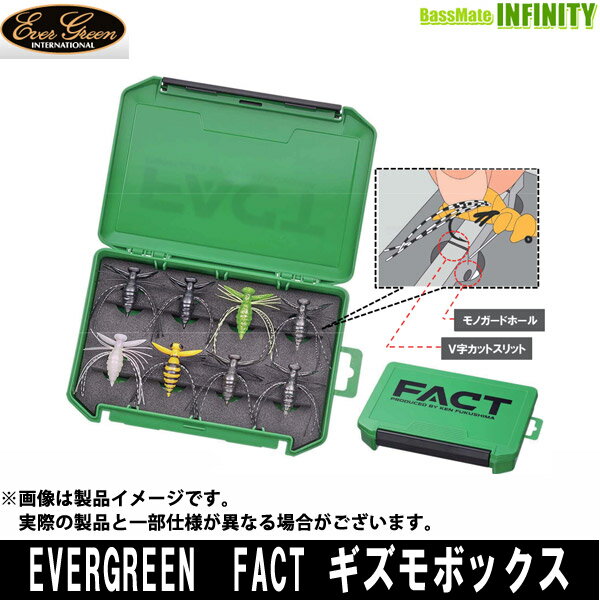●エバーグリーン EVERGREEN FACT ギズモボックス 【まとめ送料割】