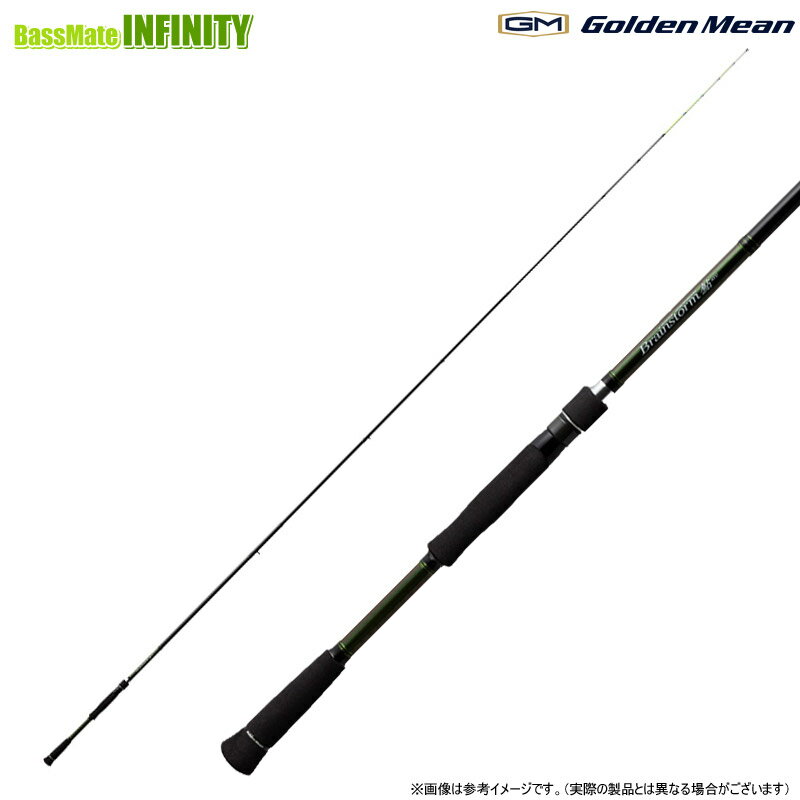 ●ゴールデンミーン　ブレインストーム鮎 BSAS-110 (振出モデル) スピニングモデル