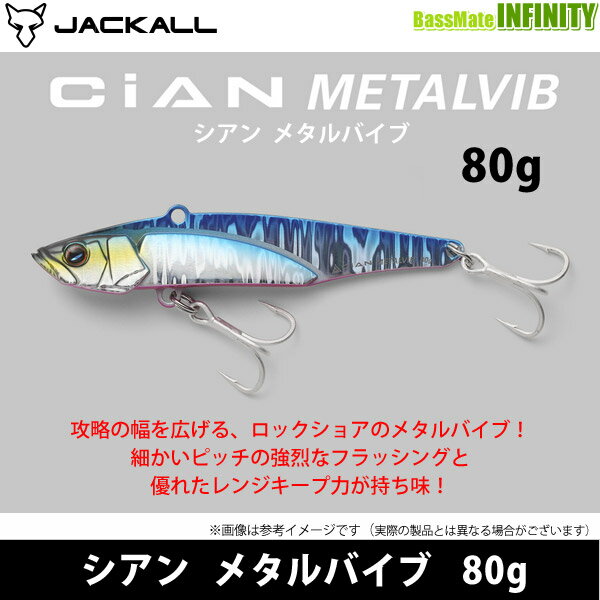 シアン メタルバイブ 80g イワシ (2)