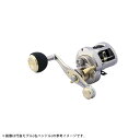 ●スタジオオーシャンマーク ブルーサファリ BLUE SAFARI 35Hi/L-D/G(22) ダークシルバー/ゴールド (左ハンドル) 【まとめ送料割】