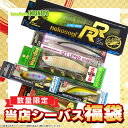 【送料無料】「ウェイキーブー 137 限定カラー」入り!シーバスルアーお買い得福袋セットB (定価総額税込20,000円以上) 【まとめ送料割】