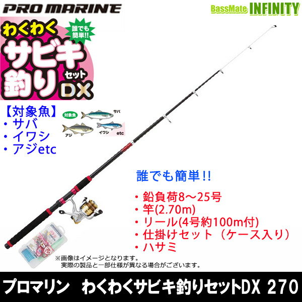 【在庫限定57％OFF】プロマリン わくわく サビキ釣りセットDX 270 海釣り入門セット【bsr000】