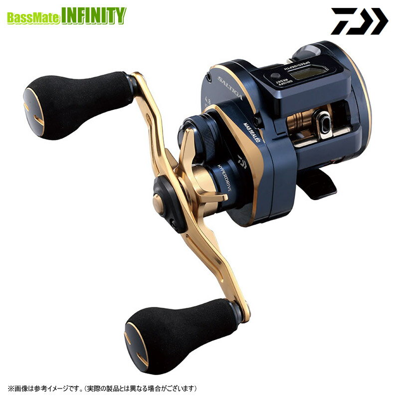 ●ダイワ 21 ソルティガ IC 100P-DH (右ハンドル) 【まとめ送料割】