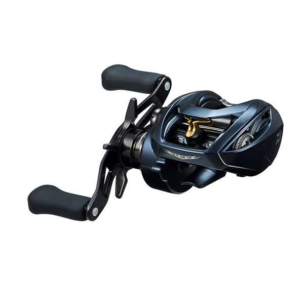 DAIWA - ●ダイワ　23 スティーズ A II TW 1000 （右ハンドル） 【まとめ送料割】