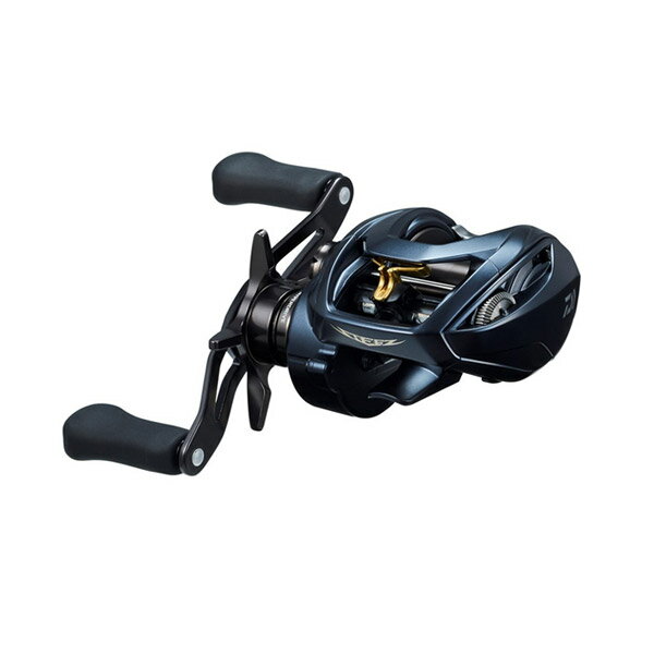 ●ダイワ　23 スティーズ A II TW 1000H （右ハンドル） 【まとめ送料割】