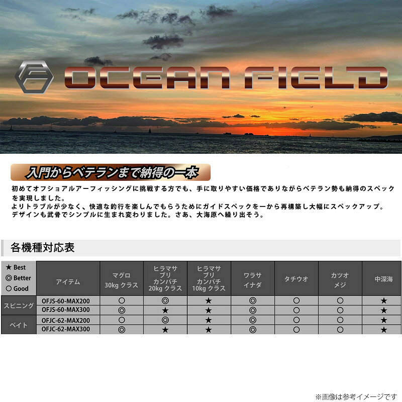 オーシャンフィールド ジギング アブ ガルシア ジギング OFJS-60-MAX300（スピニング) ジギングロ の商品画像2枚目